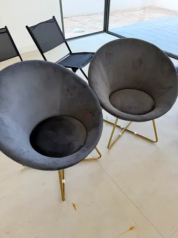 Pair of modern grey velvet round accent chairs with gold legs