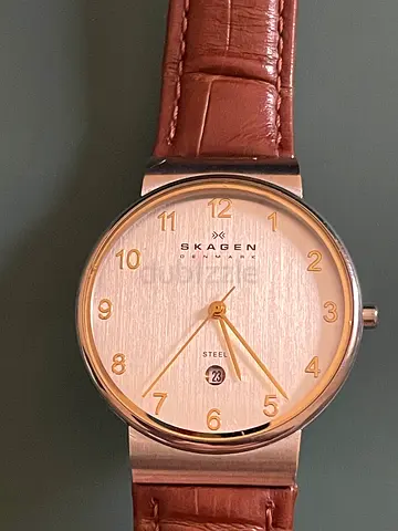 Skagen analog watch with brown leather strap, stainless steel case