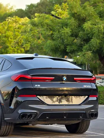 صورة مصغرة 8 لـ 2023 BMW X6