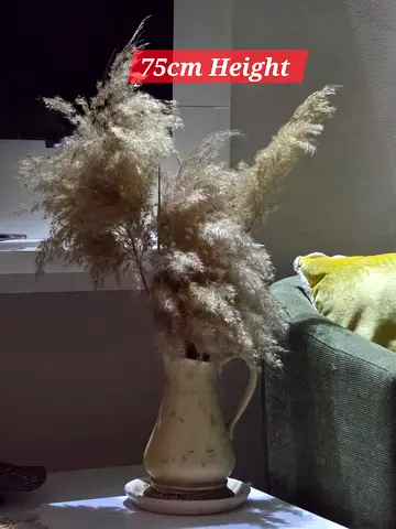Decoration Ceramic Pitcher with Pampas Grass