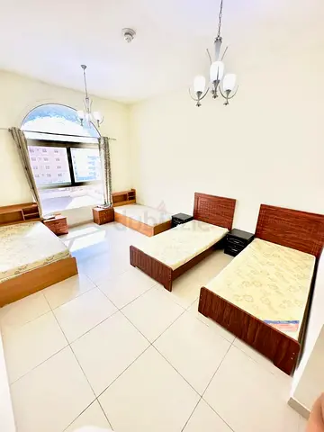 Executive Male Bed Space Available Near Zulekha Hospital Dubai