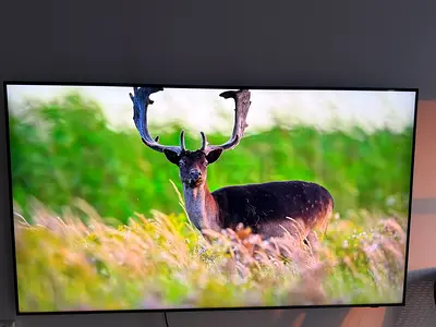 Samsung 65 Q70C QLED 4K Smart TV (QA65Q70CAUXZN)