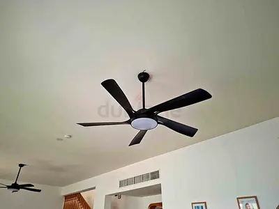 2 Beautiful living room fans