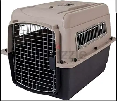 Cats and dogs carriers for air travel
