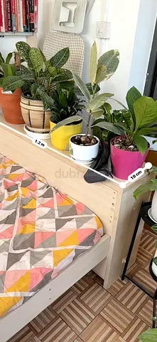 Single bed with Side storage ( Mattress Included)