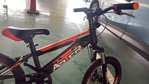 Aster World Super Kids Mountain Bike
