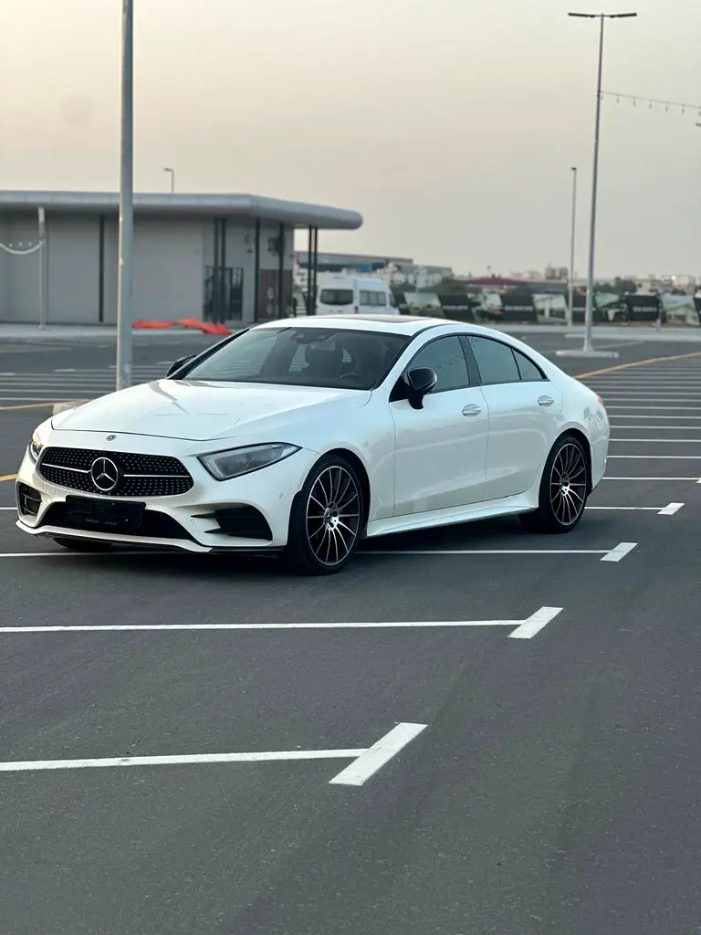 Mercedes-Benz CLS-Class 2019 — photo 1 of 15