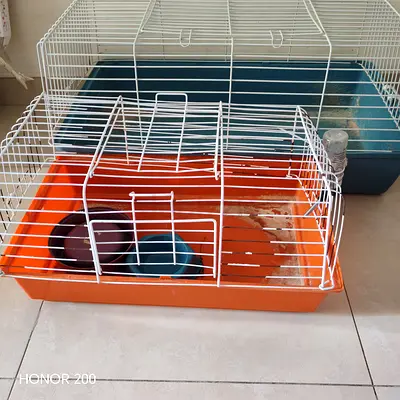 Small and big rabbit/rodent cage with food bowls and water bottle