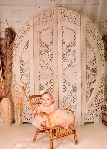 Marina Hand-carved White Wooden Decorative Room Divider / Folding Screen
