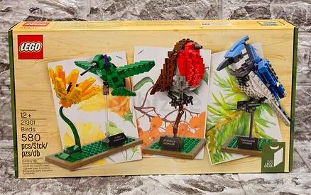 LEGO® Ideas Birds 21301 (580 pcs)(Retired Set)