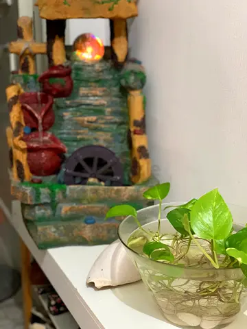 Decorative tabletop water fountain with pothos plant (ready to display)