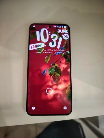 Xiaomi 15