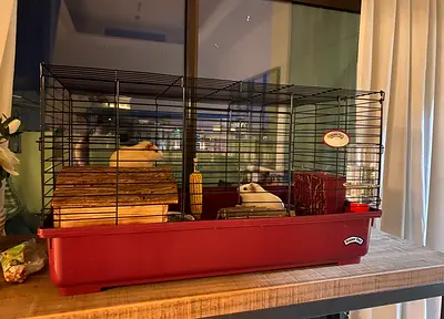 Large two-house rabbit/rodent cage with all accessories - used