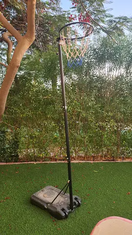 Portable adjustable netball with weighted base