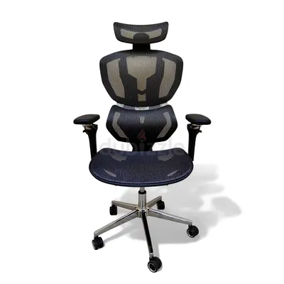 Ergonomic Mesh Office Chair with Headrest and Adjustable Armrests