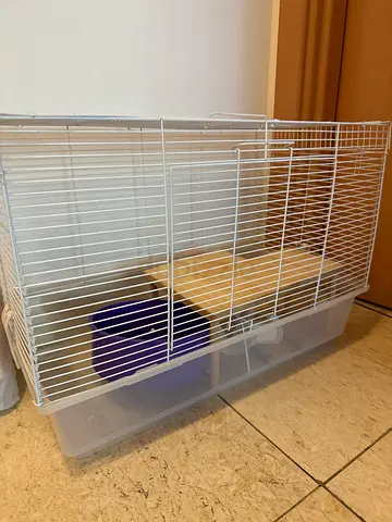 Large white wire cage with plastic base — suitable for hamsters. With wheel to play and base.
