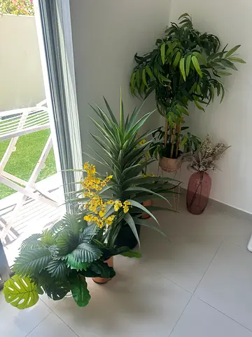 Set of artificial indoor plants with pots — ready to decorate