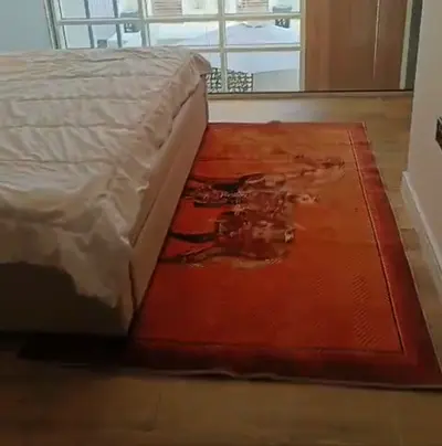Used Orange Area Rug with Giraffe Motif - Good Condition