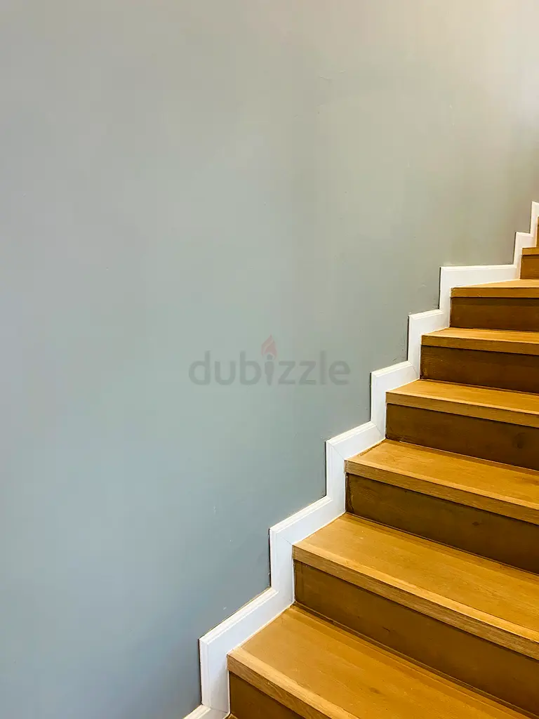 DPV_View_Image_6