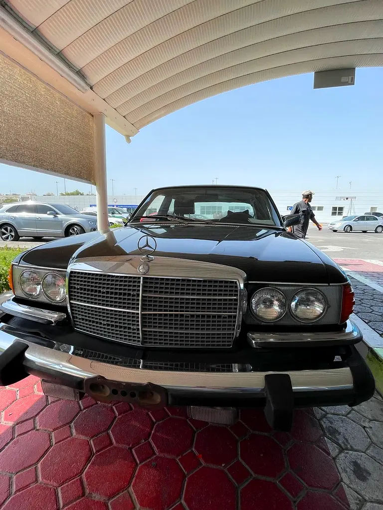 Mercedes-Benz SEL-Class 1976 — photo 1 of 15