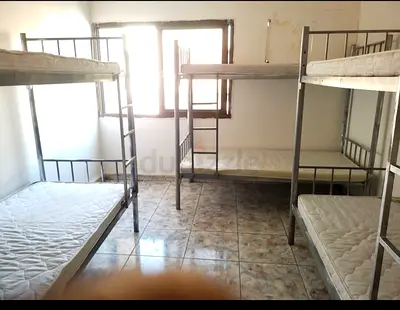 Bedspace For Indian Vegetarian Bachlor Near Sharaf DG metro