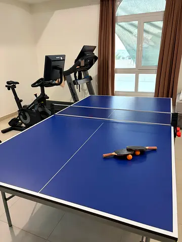 Indoor Table Tennnis Table