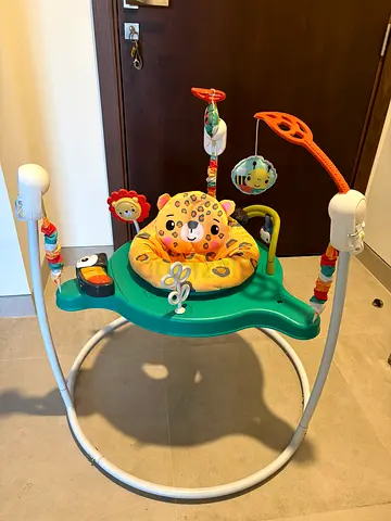 Fisher Price Jumperoo
