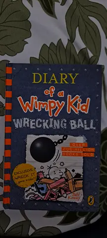 Wimpy kid book