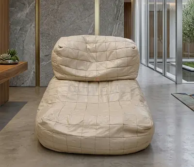 Beautiful leader bean bag chair