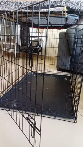 Foldable metal dog crate with removable tray - good condition