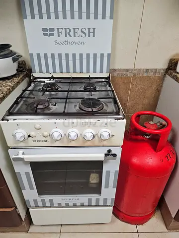 Gas cooker with cylinder