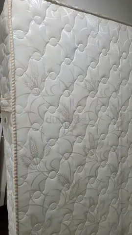 عجمان