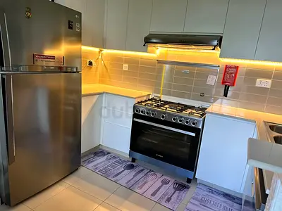 Stainless Steel Fridge LG brand at 799 AED only