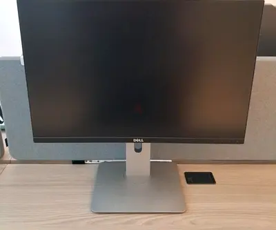 Dell 24-inch Monitor with Adjustable Stand - Good Condition