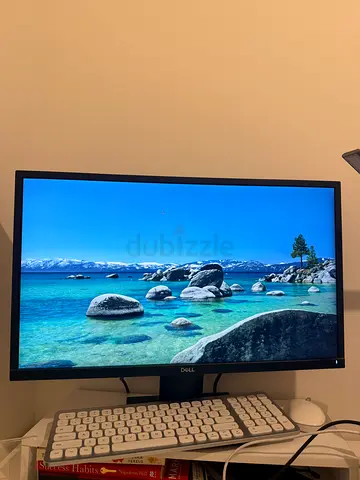 Dell 24 inch monitor - works great