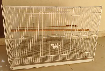 White Metal Bird Cage with Perches  Removable Tray – Includes 10 Healthy Budgies (Some Laying E