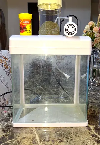 5 Gallon Fish Tank with Filter, Spirulina and Betta Pellets