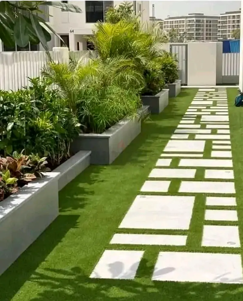 DPV_View_Image_4