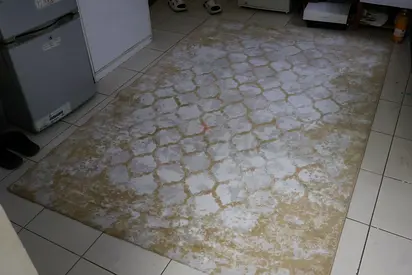 Light beige patterned area rug - good condition, 150 x 230m (approx.)