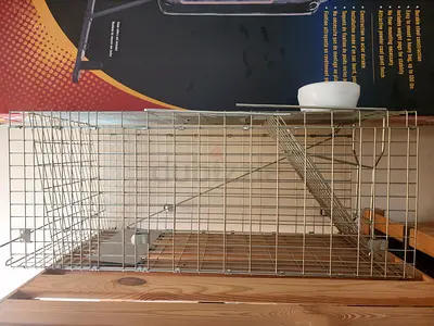 Metal cat cage for catching stray cats for neutering or relocation.
