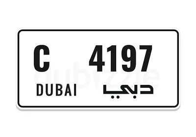C 4197