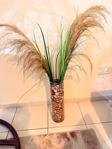 Water plant or plant glass long vase