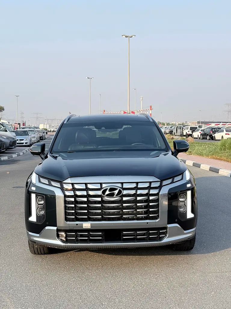 Hyundai Palisade 2023 — photo 1 of 20
