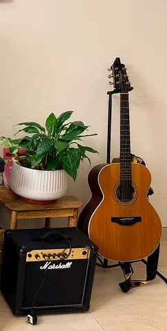 Takamine GN20 NS