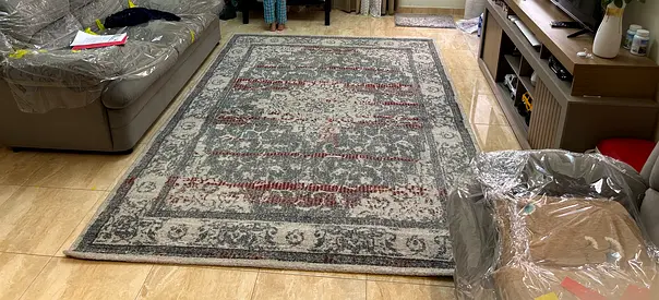 Brand new rug