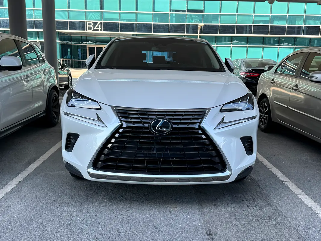 Lexus NX-Series 2019 — photo 1 of 8