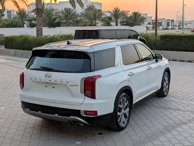 2020 Hyundai PALISADE 缩略图 7
