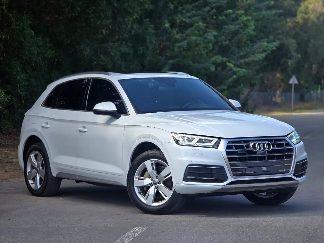 Audi Q5 2020 — photo 1 of 20