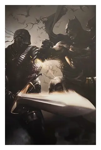 Batman vs Court of Owls Framed Poster