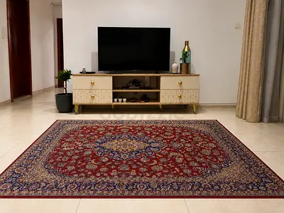 Classic Persian-style large area rug - good condition